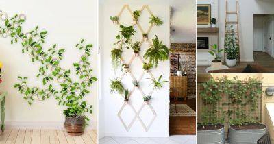 21 Crazy DIY Trellis Plant Wall Ideas Anyone Can Complete - balconygardenweb.com