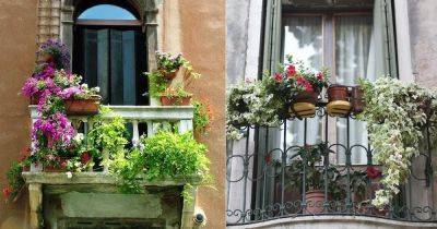 What is a French Balcony | Balconette Details - balconygardenweb.com - France