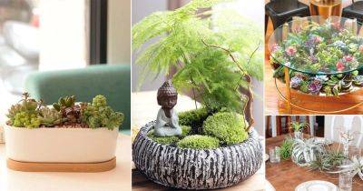 20 Amazing Tiny Tabletop Garden Ideas - balconygardenweb.com