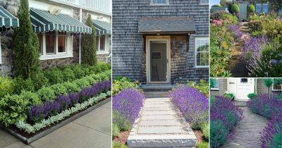 Landscaping with Lavender | 7 Garden Design Ideas - balconygardenweb.com - France