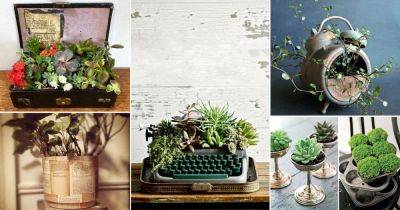 18 Vintage Style Indoor Plant Decoration Ideas - balconygardenweb.com