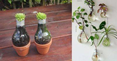 9 Blinking DIY Light Bulb Planter & Terrarium Ideas - balconygardenweb.com