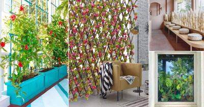 32 Beautiful Indoor Privacy Ideas with Plants - balconygardenweb.com