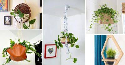 26 DIY Plant Hangers from Unusual Items - balconygardenweb.com