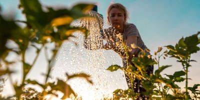How to Conserve Water in the Garden—Smart Ways to Irrigate - sunset.com