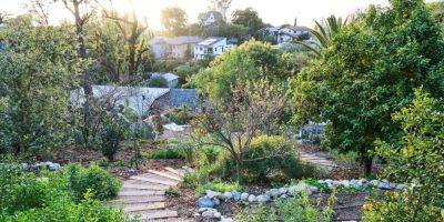 Meet Terremoto, the Landscape Design Firm Creating Radical Gardens - sunset.com - Spain - Los Angeles - state California