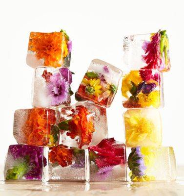 Edible Flowers Are Having a Moment—Here’s What to Know About the Trend - bhg.com