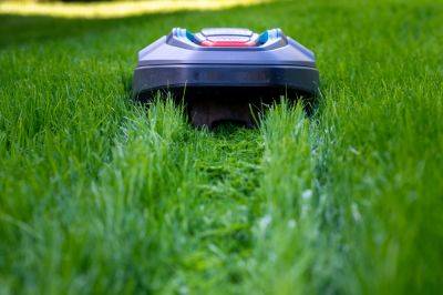 Are Robotic Mowers the Future of Lawn Care? - bhg.com
