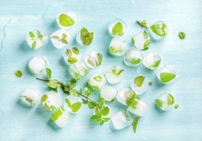 The Flavored Ice Cube Trend Is Here to Save You from Diluted Drinks - bhg.com