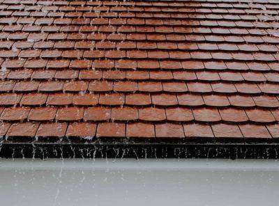 Is rainwater from the roof safe for plants? - growingfamily.co.uk