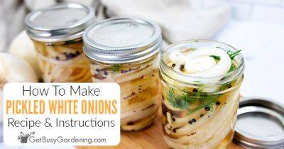 The Best Pickled White Onions Recipe - getbusygardening.com