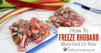 How To Freeze Rhubarb (With Or Without Blanching) - getbusygardening.com