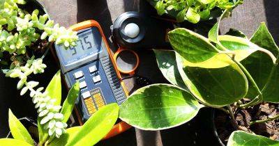 11 of the Best Light Meters for Houseplants and Indoor Gardening - gardenerspath.com - Usa