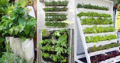 Vertical Vegetable Garden Ideas (22 Best DIYs for Small Spaces) - balconygardenweb.com - Spain