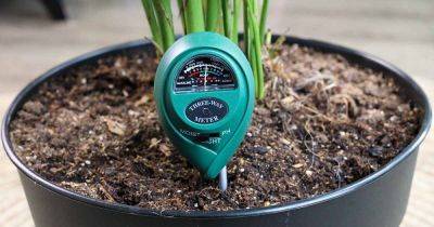 How to Use a Soil Moisture Meter - gardenerspath.com