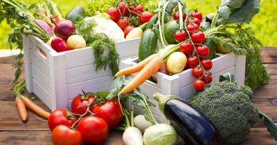 How to Fertilize Your Vegetable Garden - gardenerspath.com