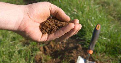 How to Test Soil in the Home Garden - gardenerspath.com