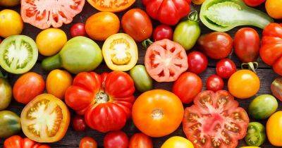 Top 10 Reasons to Love Tomatoes - gardenerspath.com