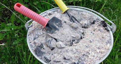 How to Compost Wood Ashes - gardenerspath.com - state Vermont