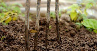 Ultimate Guide to Understanding Garden Soil | Gardener's Path - gardenerspath.com