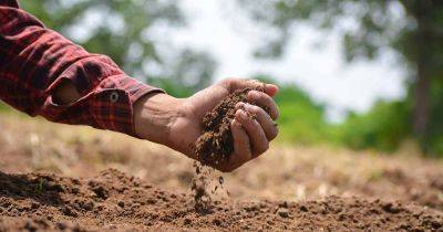 11 of the Best Soil Test Kits for Evaluating Garden Soil - gardenerspath.com