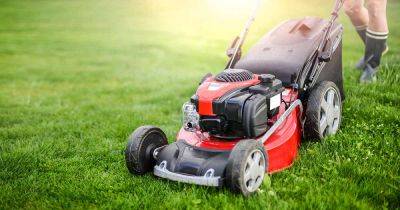 9 of the Best Gas Mowers for 2023 - gardenerspath.com