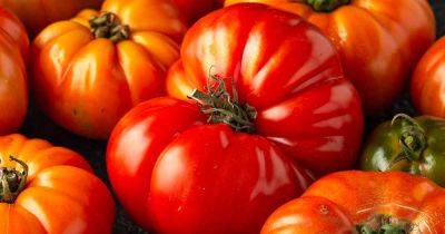 How to Plant and Grow Beefsteak Tomatoes | Gardener's Path - gardenerspath.com - Usa - Spain