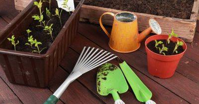 31 of the Best Gardening Kits - gardenerspath.com