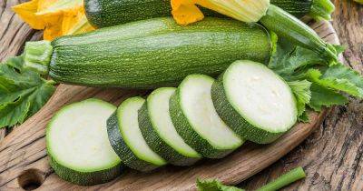How to Manage Blossom-End Rot in Zucchini - gardenerspath.com
