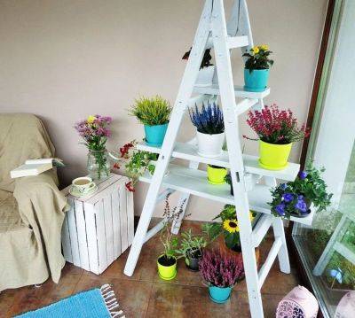 DIY Ladder Shelf | Ladder Plant Shelf for Garden - balconygardenweb.com