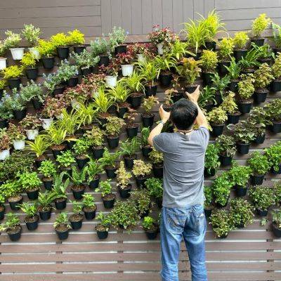 Beginner's Guide: Creating Stunning DIY Vertical Gardens - gardencentreguide.co.uk