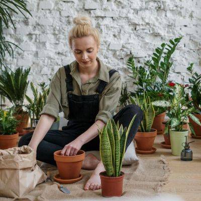 The Importance of Proper Garden Work Attire: Protecting Yourself and Your Plants - gardencentreguide.co.uk