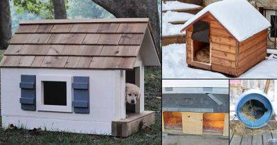 22 DIY Outdoor Heated Dog House Ideas for Winters - balconygardenweb.com