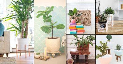 28 DIY Plant Risers for Indoor Plants to Make a Statement - balconygardenweb.com