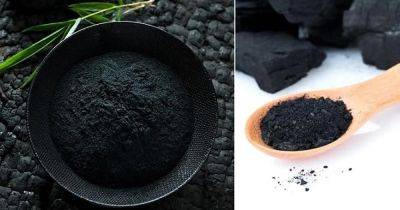 How to Use Activated Charcoal for Plants? - balconygardenweb.com