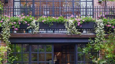 How to plant window boxes | House & Garden - houseandgarden.co.uk