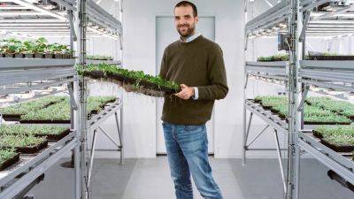 Meet the man pioneering vertical farming in an effort to save our food production | House & Garden - houseandgarden.co.uk - Britain