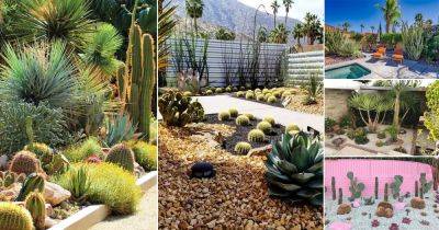 35 Inexpensive Desert Landscaping Ideas Pictures - balconygardenweb.com