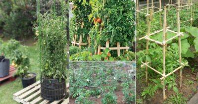 27 DIY Tomato Cage, Trellis & Stake Ideas - balconygardenweb.com