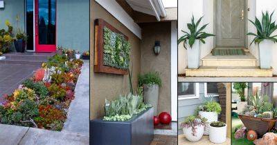30 Modern Succulent Front Door Ideas - balconygardenweb.com