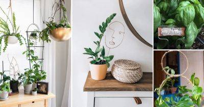 18 Easy Indoor Plant Stake Ideas - balconygardenweb.com