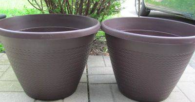 Boost Curb Appeal With These Tall Planters - hometalk.com