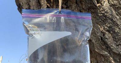 The Flies Are Back...An Updated Fly Bag Tutorial at Your Service! - hometalk.com