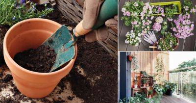 110+ Container Gardening Tips You Ever Need To Know - balconygardenweb.com
