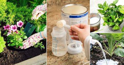 6 Expired Baby Food Uses in the Garden | What to Do With Expired Baby Formula - balconygardenweb.com