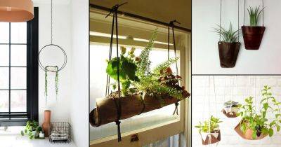 51 DIY Hanging Plants Indoors Ideas - balconygardenweb.com