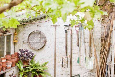 6 Shed Items to Throw Away Right Now, According to Experts - thespruce.com