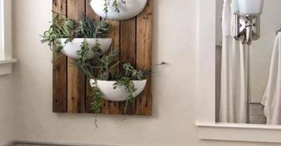 Living Wall Out Of Pallet Wood - hometalk.com