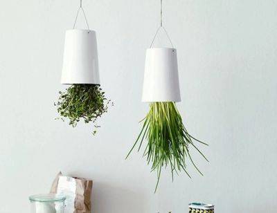 Hanging Herbs Upside Down | 8 DIY Upside Down Herb Planter Projects - balconygardenweb.com