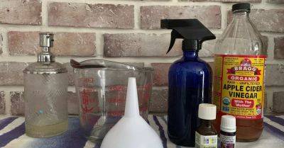 DIY Spider Repellent - hometalk.com